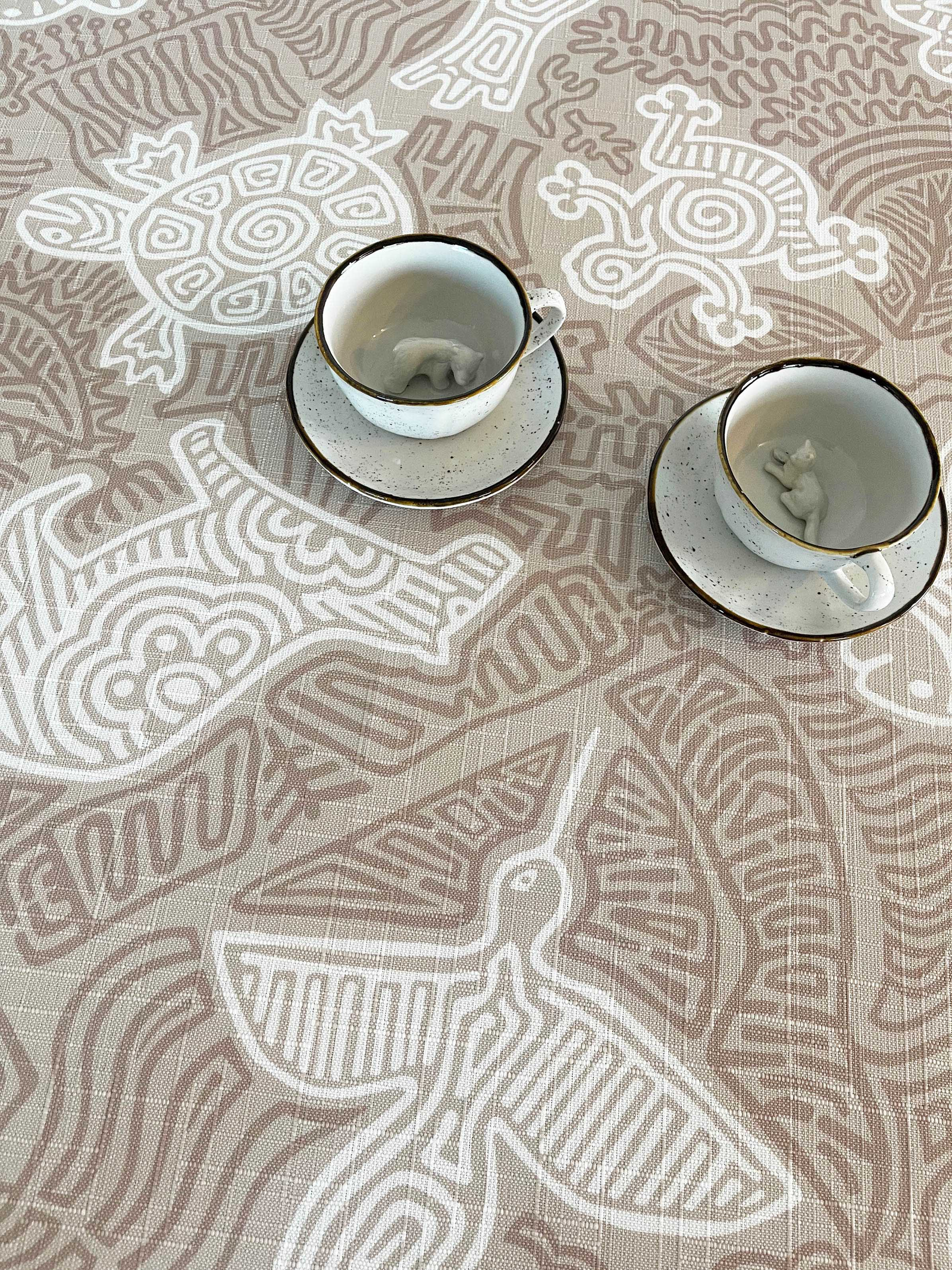 COLECCIÓN CELEBRANDO